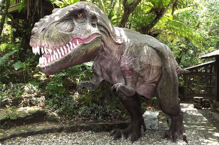 DINO恐竜PARK やんばる亜熱帯の森　入園割引券　<通年>