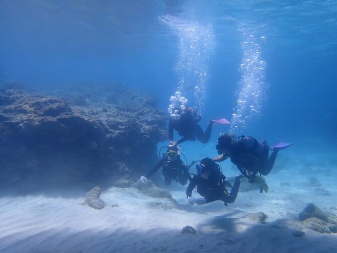 瀬底島パラセール＆体験ダイビング　Sesoko Parasailing & Introductory diving