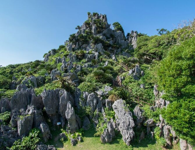 やんばる観光タクシー　大石林山　6時間コース　<通年>