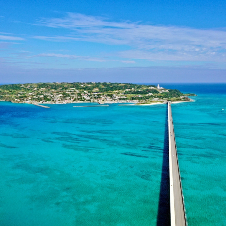 やんばる観光タクシー　中南部観光　9時間コース　<通年>